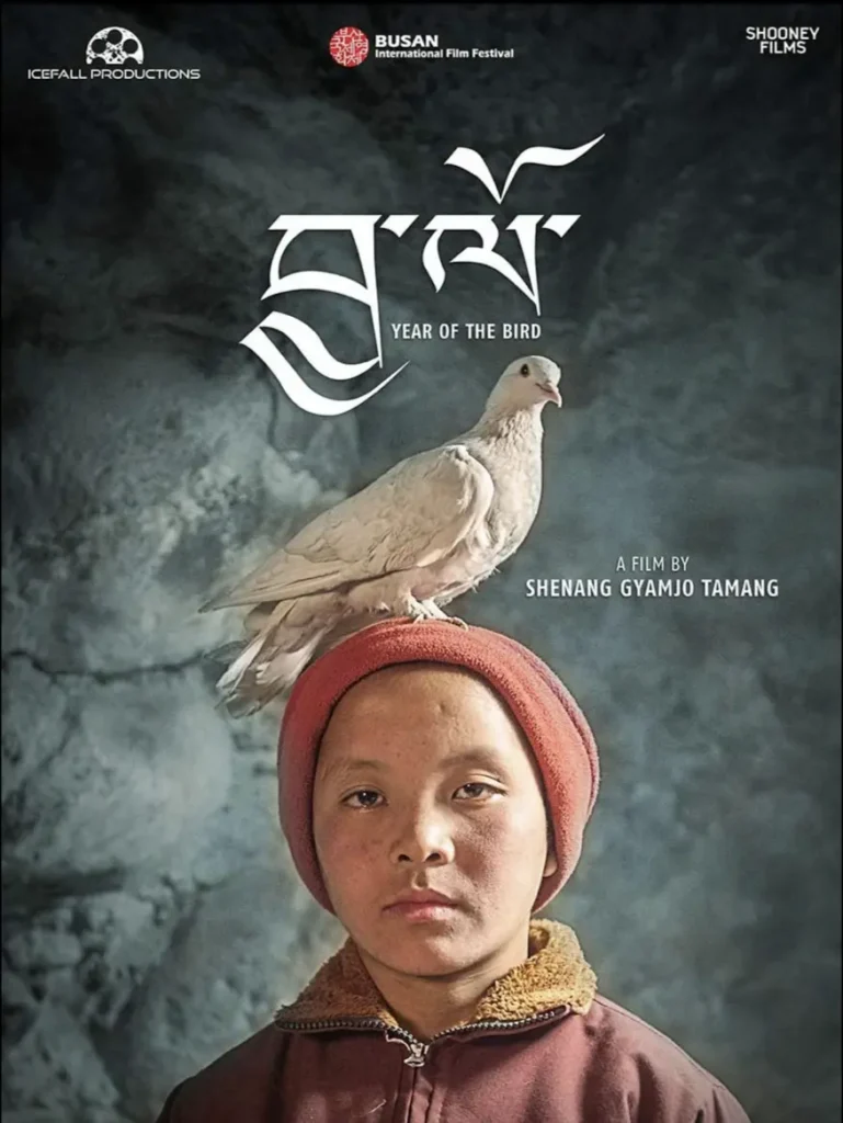 Year of The Bird