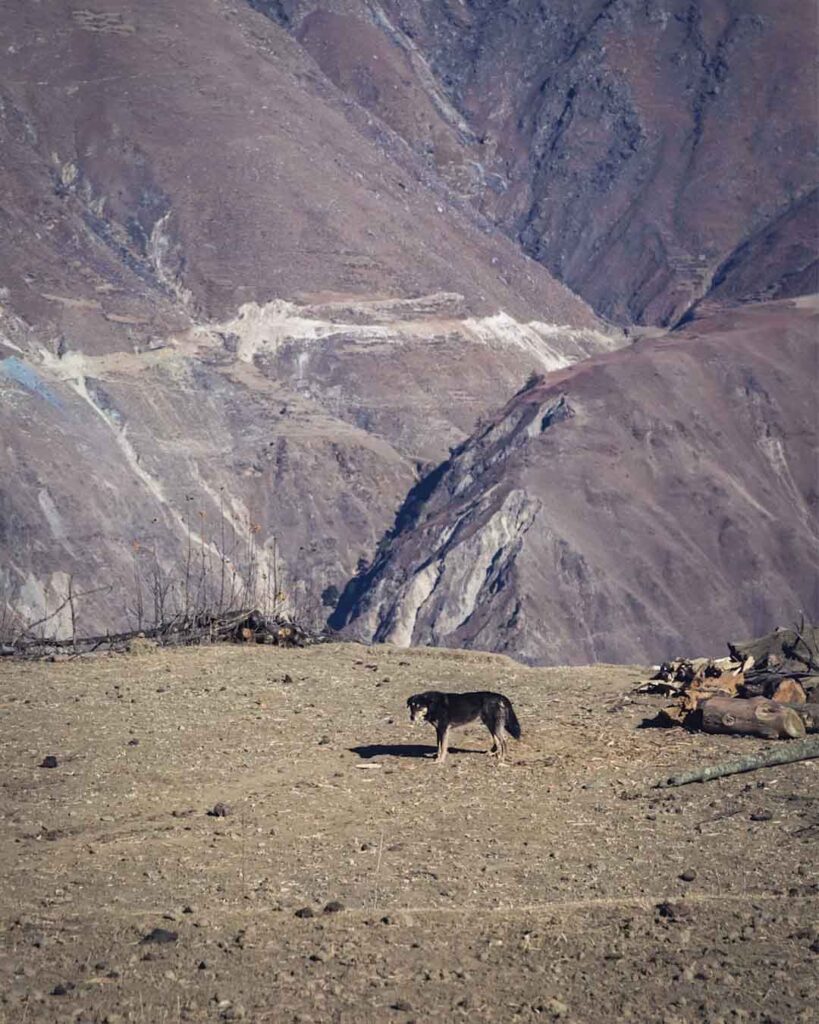 Dolpo Icefall Production Icefall Productions