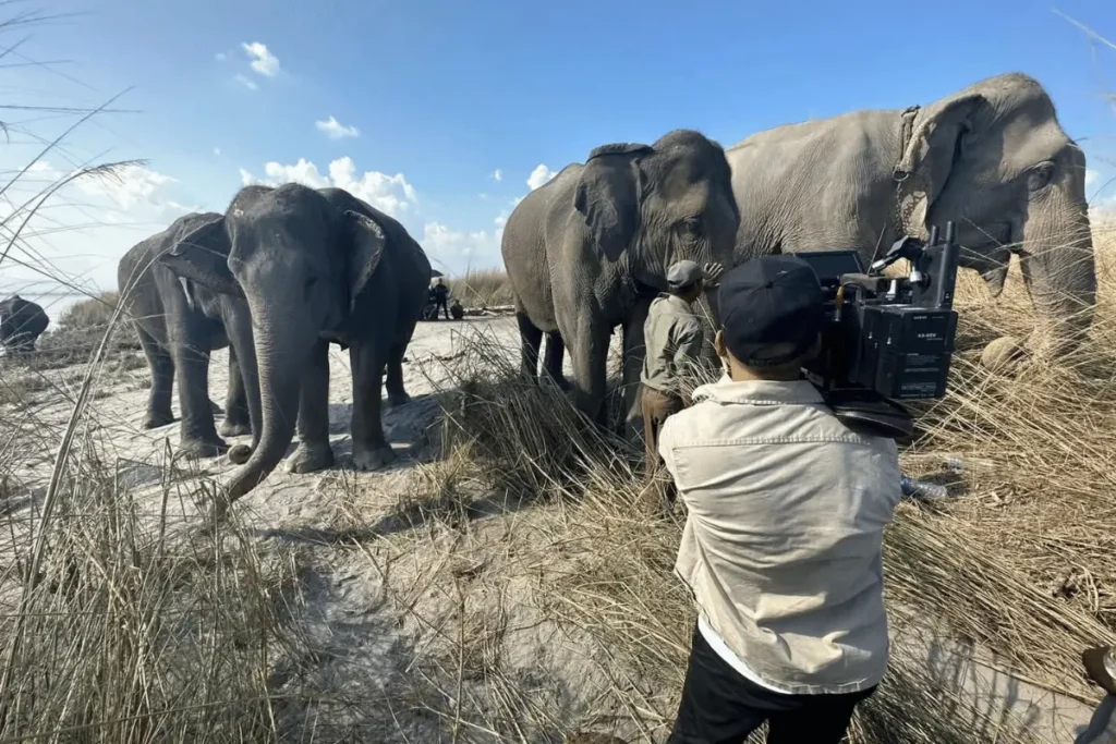 Cinematographer filming wild elephants on location using a professional cinema camera rental in Nepal