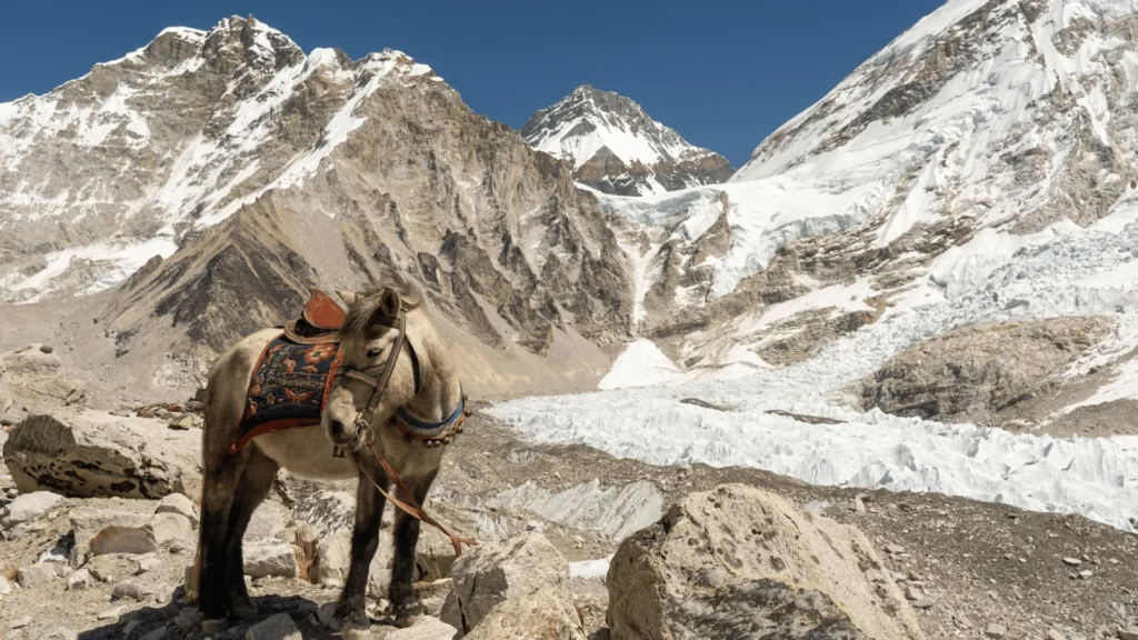 Climate Change on Camera: Filming Himalayan Glaciers as They Retreat filming Himalayan glaciers climate documentary Nepal